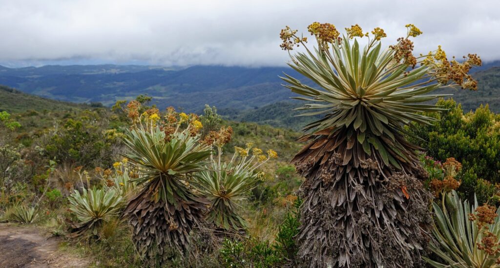 Parqué ecológico Matarredonda